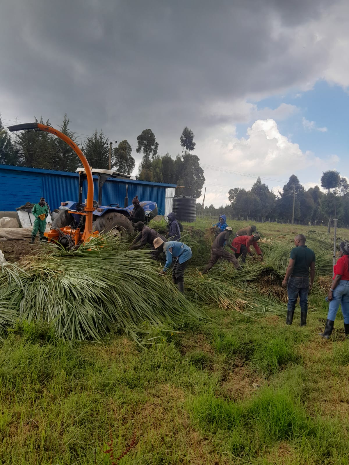 Silage Making Demo