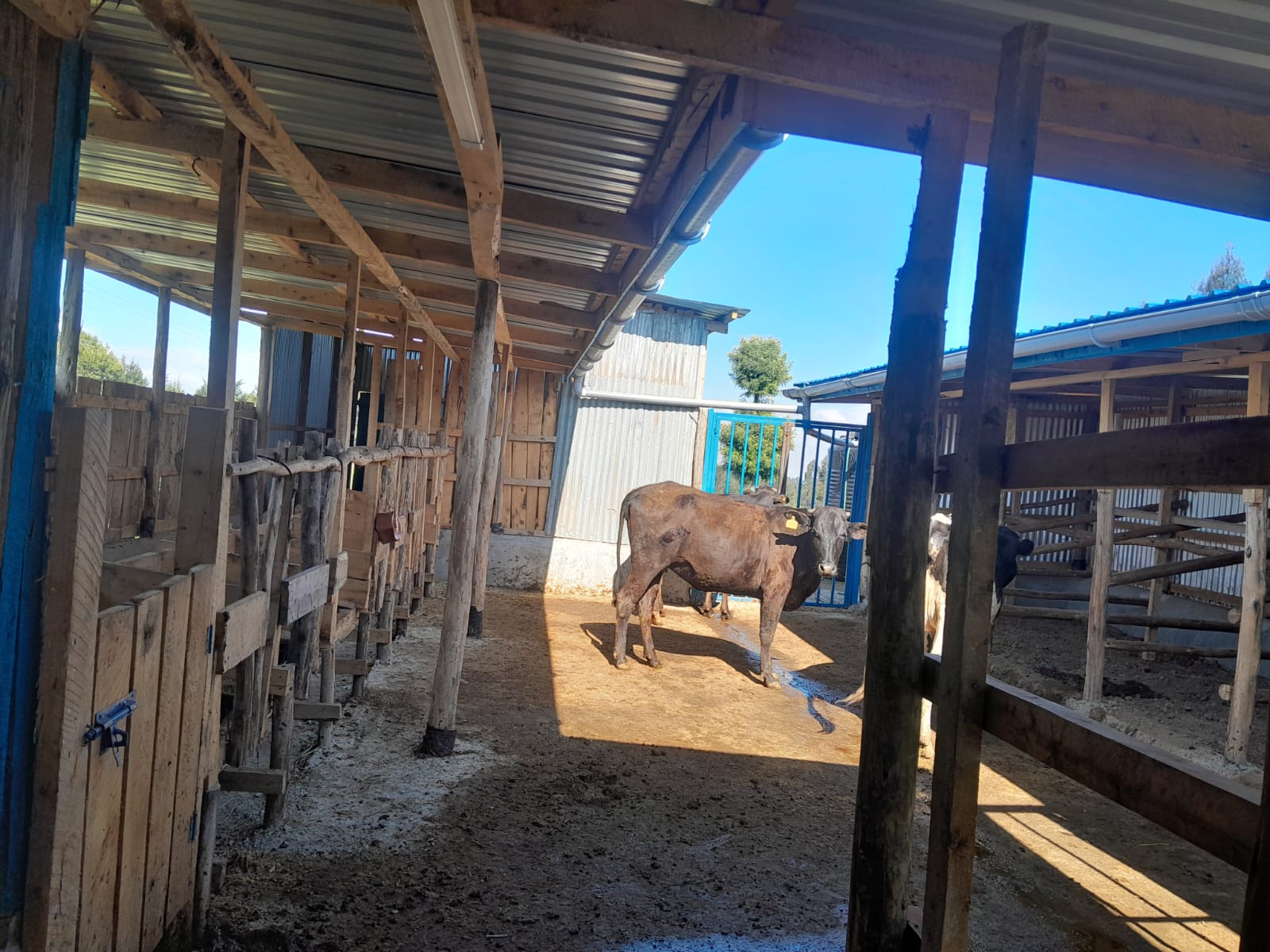 Zero-Grazing Unit